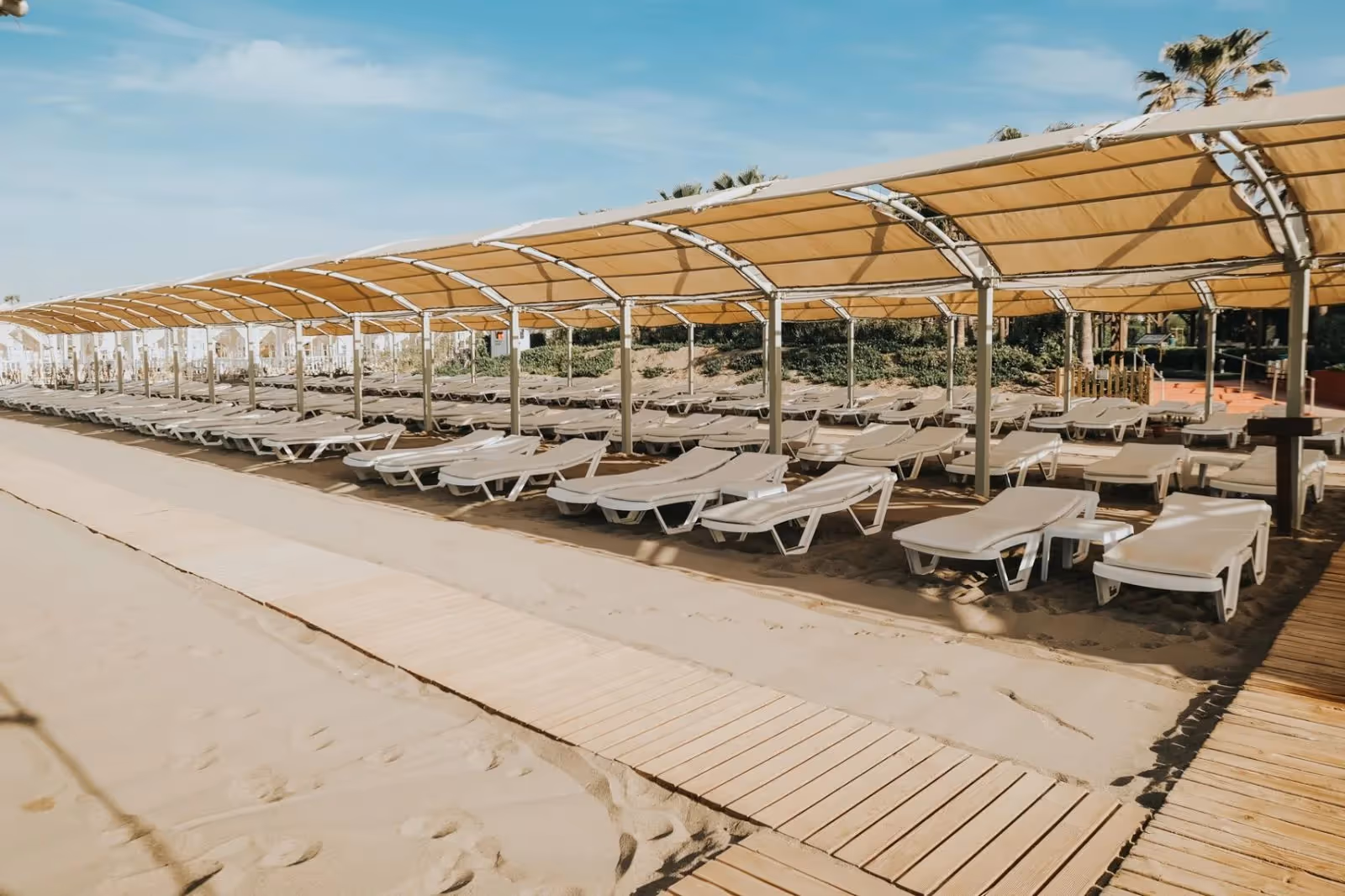 Zandstrand met rijen witte ligbedden onder een overkapping met zonnedoeken bij Saturn Palace Resort in Lara