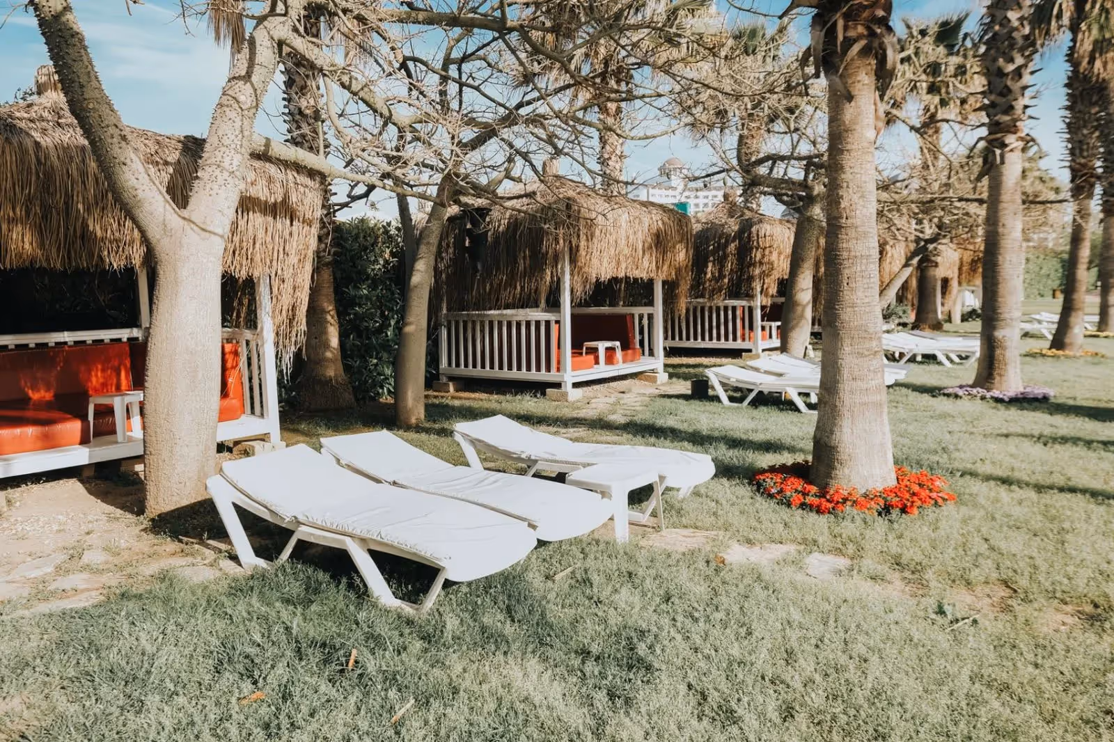 Tuin met palmen, ligbedden op het gras en rieten paviljoens bij Saturn Palace Resort in Lara